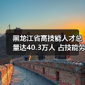 黑龙江省高技能人才总量达40.3万人 占技能劳动者比例（图2）