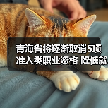 青海省将逐渐取消5项准入类职业资格 降低就业门槛（图3）