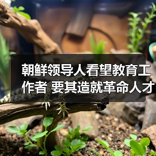 朝鲜领导人看望教育工作者 要其造就革命人才（图3）
