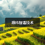 顺科智连技术（图2）