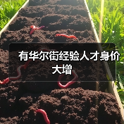 有华尔街经验人才身价大增（图2）
