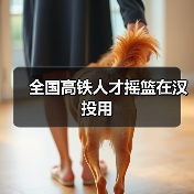 全国高铁人才摇篮在汉投用（图2）