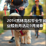 2014吉林高校毕业生就业服务月活动9月揭幕（图4）