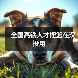 全国高铁人才摇篮在汉投用（图4）