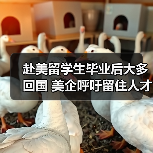 赴美留学生毕业后大多回国 美企呼吁留住人才（图4）