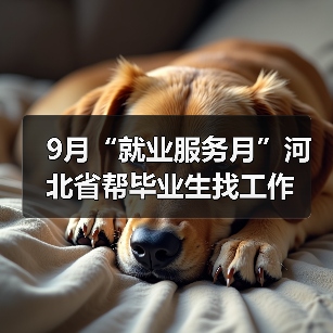9月“就业服务月”河北省帮毕业生找工作(图2) 9月“就业服务月”河北省帮毕业生找工作(图2)