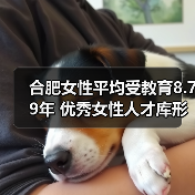 合肥女性平均受教育8.79年 优秀女性人才库形成(图3) 合肥女性平均受教育8.79年 优秀女性人才库形成(图3)