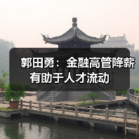 郭田勇:金融高管降薪有助于人才流动(图4) 郭田勇:金融高管降薪有助于人才流动(图4)