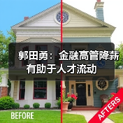 郭田勇:金融高管降薪有助于人才流动(图2) 郭田勇:金融高管降薪有助于人才流动(图2)