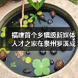 福建首个乡镇级新媒体人才之家在泉州罗溪成立（图2）