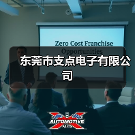 东莞市支点电子有限公司（图3）