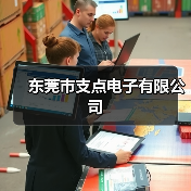 东莞市支点电子有限公司（图2）