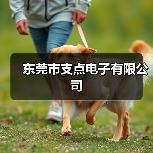 东莞市支点电子有限公司（图1）