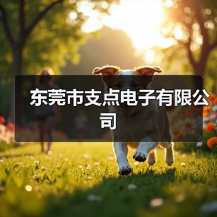 东莞市支点电子有限公司（图4）