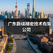 广东新镁精密技术有限公司（图1）