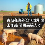 青岛在海外设10家引才工作站 吸引高端人才（图1）