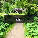 亚江（图4）