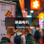 德昌电机(图3) 德昌电机(图3)