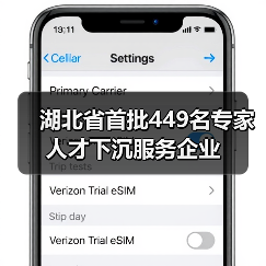 湖北省首批449名专家人才下沉服务企业（图3）