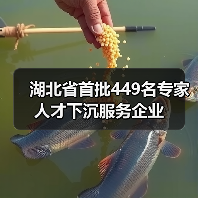 湖北省首批449名专家人才下沉服务企业（图1）