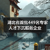 湖北省首批449名专家人才下沉服务企业（图2）