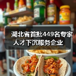 湖北省首批449名专家人才下沉服务企业（图4）