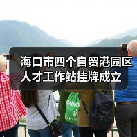 海口市四个自贸港园区人才工作站挂牌成立(图3) 海口市四个自贸港园区人才工作站挂牌成立(图3)