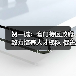 贺一诚:澳门特区政府致力培养人才梯队 促进青年向上(图3) 贺一诚:澳门特区政府致力培养人才梯队 促进青年向上(图3)