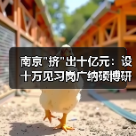 南京