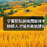 宁夏职院获批国家技术转移人才培养基地建设单位（图1）