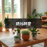 稳扬精密（图1）