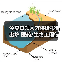 今夏白领人才供给报告出炉 医药/生物工程行业涨薪明显（图1）