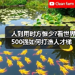 人到用时方恨少?看世界500强如何打造人才梯队(图3) 人到用时方恨少?看世界500强如何打造人才梯队(图3)