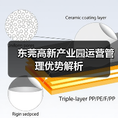 东莞高新产业园运营管理优势解析（图3）