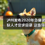 泸州发布2020年急需紧缺人才需求目录 这些领域人才缺(图2) 泸州发布2020年急需紧缺人才需求目录 这些领域人才缺(图2)