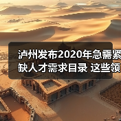 泸州发布2020年急需紧缺人才需求目录 这些领域人才缺(图3) 泸州发布2020年急需紧缺人才需求目录 这些领域人才缺(图3)