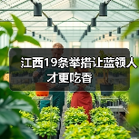 江西19条举措让蓝领人才更吃香(图2) 江西19条举措让蓝领人才更吃香(图2)