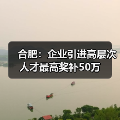 合肥：企业引进高层次人才最高奖补50万（图4）
