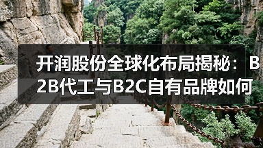 开润股份全球化布局揭秘：B2B代工与B2C自有品牌如何共赢？（图1）