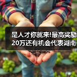 是人才你就来!最高奖励20万还有机会代表湖南“征战”(图4) 是人才你就来!最高奖励20万还有机会代表湖南“征战”(图4)
