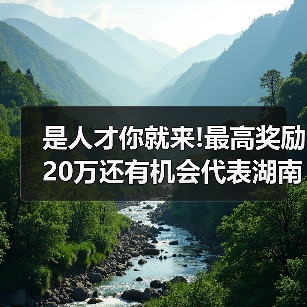 是人才你就来!最高奖励20万还有机会代表湖南“征战”(图3) 是人才你就来!最高奖励20万还有机会代表湖南“征战”(图3)