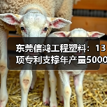 东莞信鸿工程塑料：13项专利支撑年产量5000吨，应用覆盖汽车家电等领域（图2）