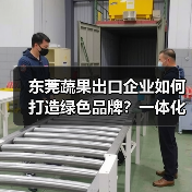 东莞蔬果出口企业如何打造绿色品牌?一体化运营保障品质(图3) 东莞蔬果出口企业如何打造绿色品牌?一体化运营保障品质(图3)