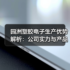 园洲塑胶电子生产优势解析:公司实力与产品介绍(图3) 园洲塑胶电子生产优势解析:公司实力与产品介绍(图3)
