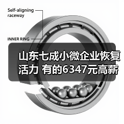 山东七成小微企业恢复活力 有的6347元高薪抢夺人才(图4) 山东七成小微企业恢复活力 有的6347元高薪抢夺人才(图4)