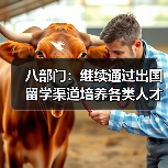 八部门：继续通过出国留学渠道培养各类人才（图4）