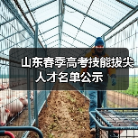 山东春季高考技能拔尖人才名单公示(图4) 山东春季高考技能拔尖人才名单公示(图4)