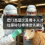 厦门高层次及骨干人才住房补贴申领需先确认资格（图1）